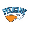 Pelicans icon