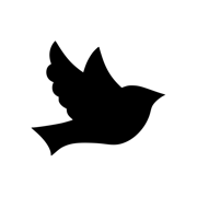 iCatholic