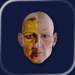 Ecorche: Portrait Anatomy