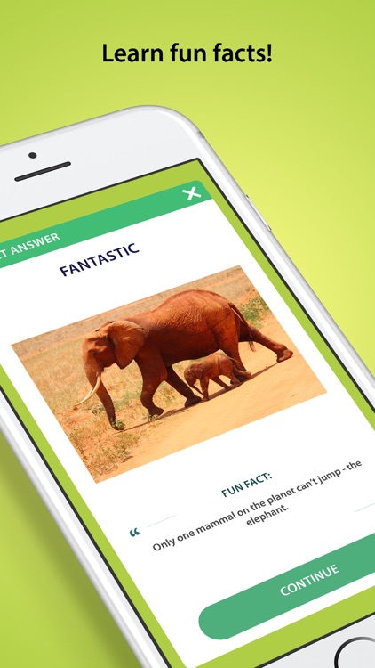 Trivia Quiz - Trivia Questions screenshot-3