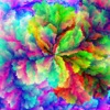 Bloom. app icon - Graphics & Design app for iPhone