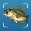 Fish Identifier & Animal ID icon