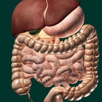 Organes 3D (Anatomie) ne fonctionne pas? problème ou bug?