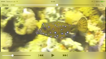 Reef Guide Screenshot