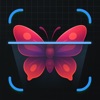 Insect Identifier: Bug Peek icon