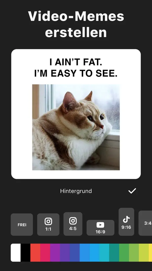 InShot - Video Editor Screenshot 8
