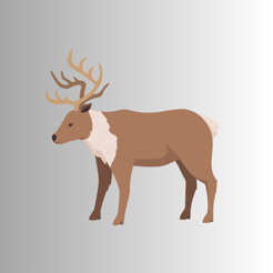 ‎Reindeer-Caribou Sound & Calls