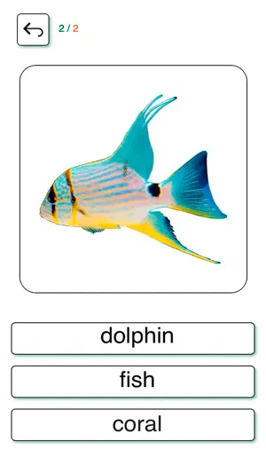 Learn and play US English + screenshot 3