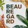 Festival Beauregard app icon - Music app for iPhone