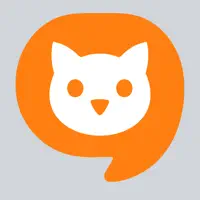 The Daily Cat