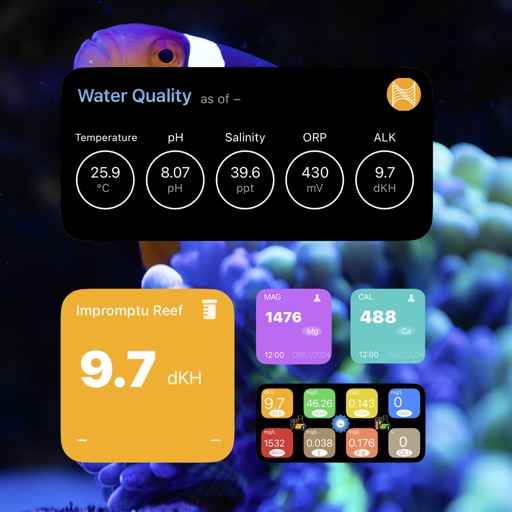 Reef Widgets