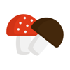 Mushroom Help - Modru