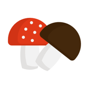 Mushroom Help