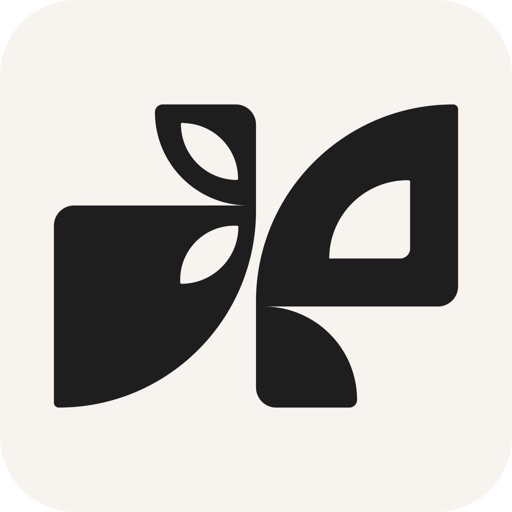 Endearing AI: AI Best Friend