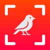 Bird Identifier: Birdpedia icon