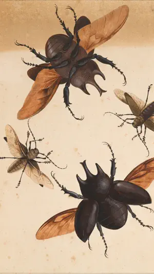 SC Museo Ciencias Naturales screenshot 3