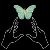 Legacy Plan icon