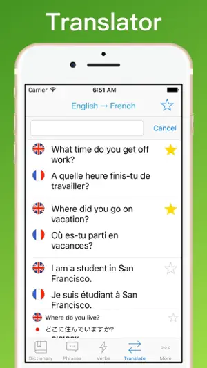 French Translator Dictionary + screenshot 3