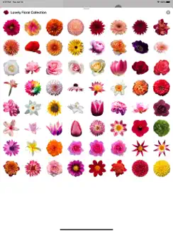 Lovely Flower Collection iPad image 2