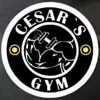 Cesar's Gym icon