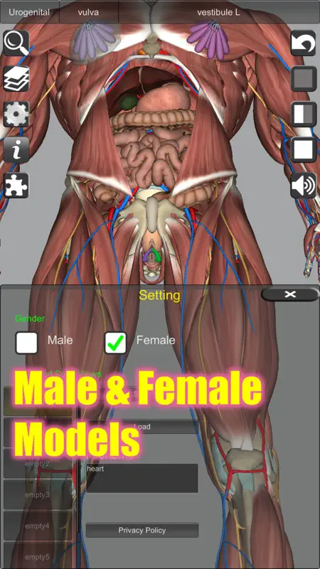 3D Anatomy screenshot 7 of 10