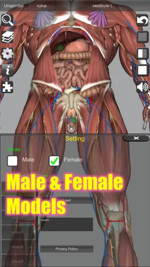 Скриншот 3D Anatomy на iPhone 7