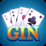 Get Gin Rummy - Offline Game for iOS, iPhone, iPad Aso Report