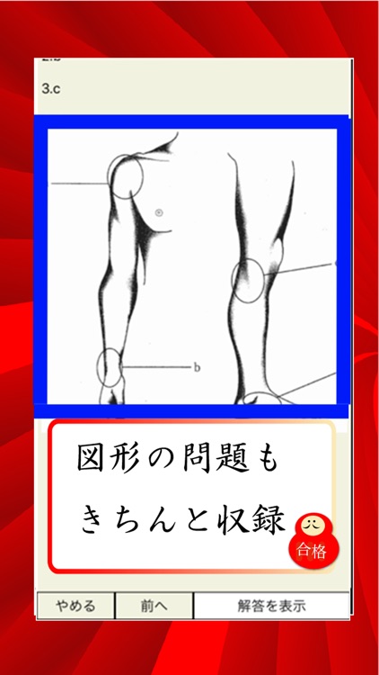 柔道・あん摩・はり師きゅう師　資格　plus