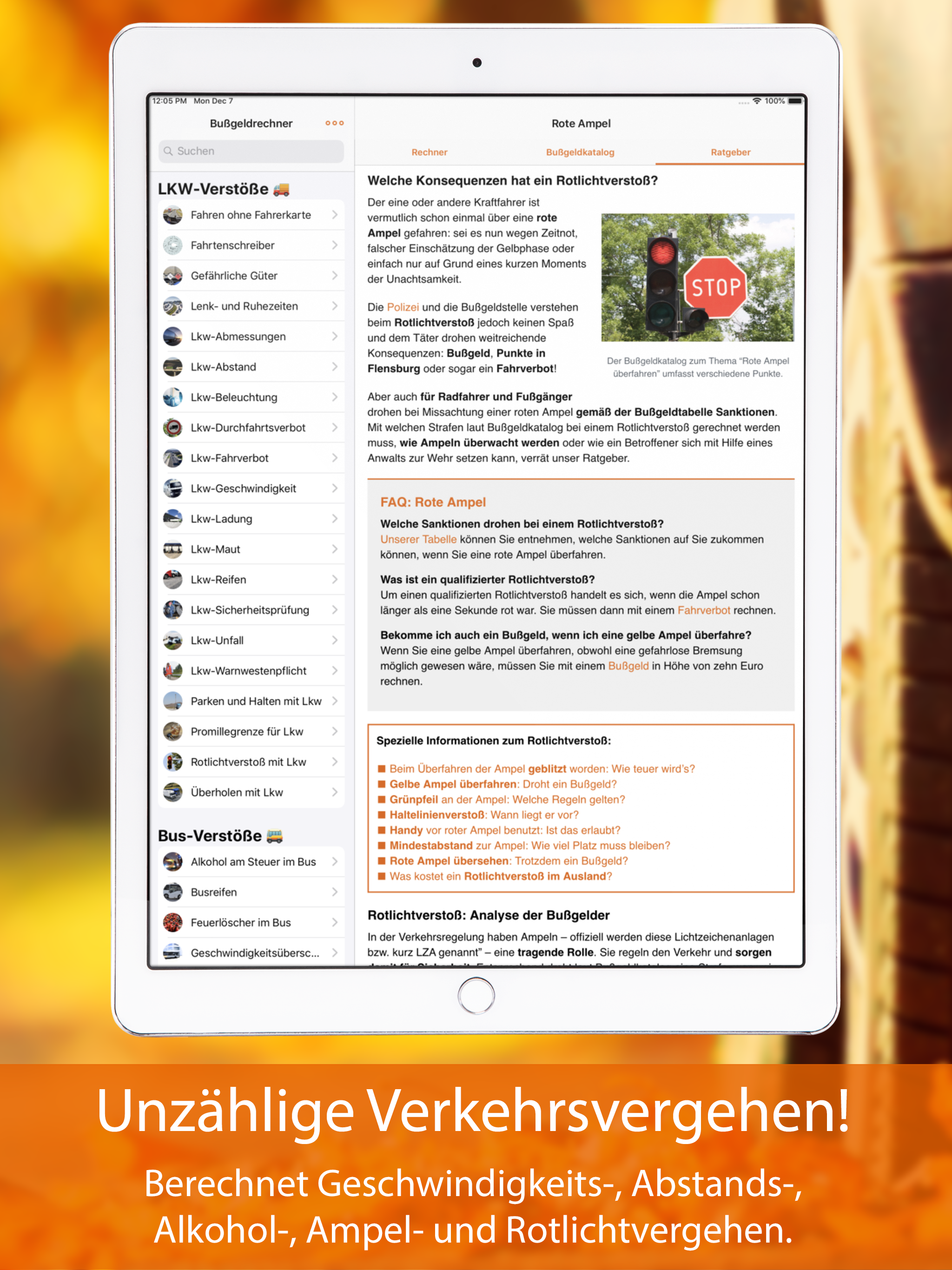 Bußgeldrechner Pro 2026