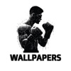 Boxing Wallpaper icon