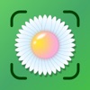 Plant Identifier & Scanner + icon