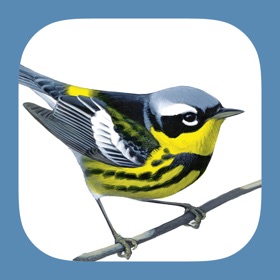 لقطات (5) Sibley Birds 2nd Edition