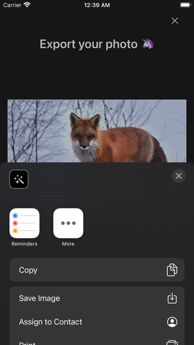 Luca - Photo Editor & Filters iPhone screenshot 10 - Photo & Video app