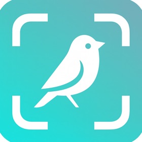 Bird Identifier : FeatherBuddy