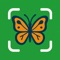 BugSnap: Bug Identifier AI turns your phone into an essential tool for uncovering the mysteries of insects, spiders, and other tiny creatures with a single photo