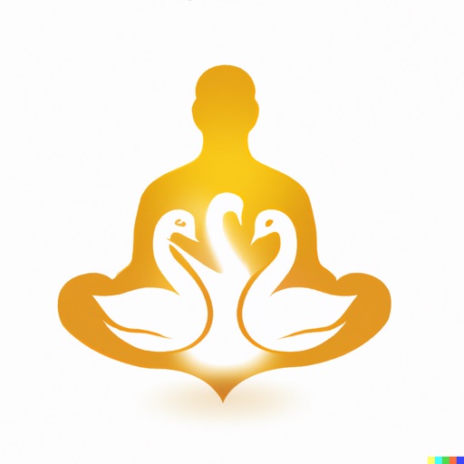 Sudarshan Kriya App.