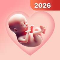 Pregnancy Tracker - Calculator