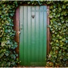 My Quiet Place icon