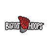 Bigfoot Hoops icon