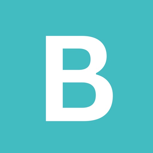Budget Planner App - Budge iOS App