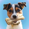 Laser Pointer － Games for Dogs - iPadアプリ