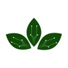 Wingardium icon