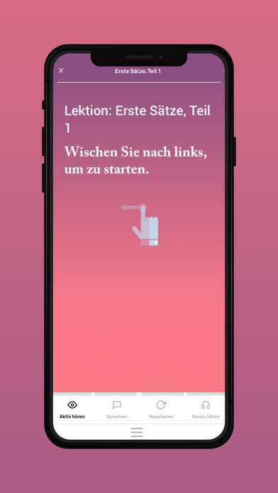 Birlingo Sprachkurse Screenshot