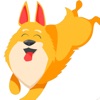 Dogstr - connecting dogs