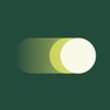 ImmediatePay icon