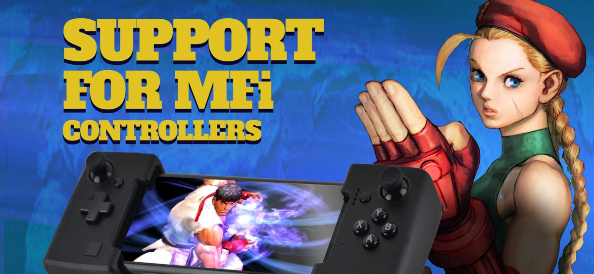 Street Fighter IV CE screenshot 4