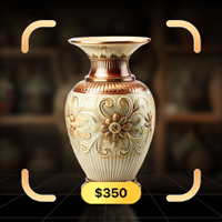Relic Snap Antique Identifier