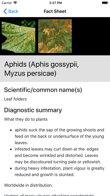 Sweetpotato DiagNotes screenshot-4