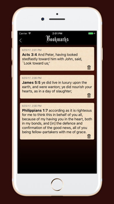 Young's Literal Bible (YLT) Screenshot