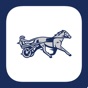 Off and Pacing: Horse Racing app download